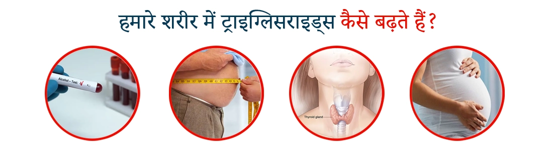 How Do Triglycerides Increase in Our Body in Hindi